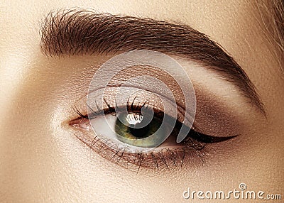 Perfect shape of eyebrows, brown eyeshadows and long eyelashes. Closeup macro shot of fashion smoky eyes visage Stock Photo