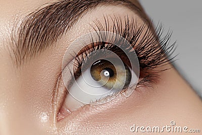 Perfect shape of eyebrows, brown eyeshadows and long eyelashes. Closeup macro shot of fashion smoky eyes visage Stock Photo
