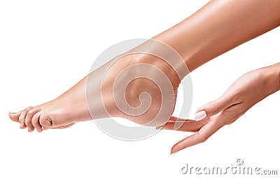 Perfect female feet. Hand touches elegant leg. Stock Photo