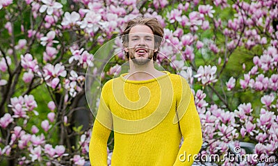 Perfect spring day. allergy. sexy guy blooming magnolia flower tree. man natural seasonal background. feel refreshed Stock Photo