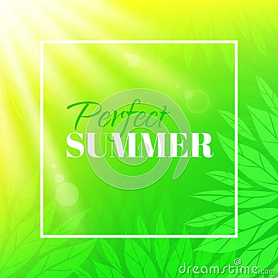 Perfect summer. Banner with typographic design. Background with leaves and sun Vector Illustration