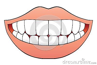 Perfect Teeth Vector Illustration