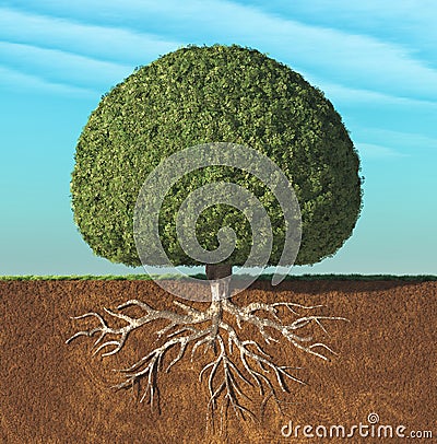 A perfect tree Cartoon Illustration