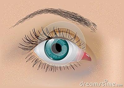 Perfect vector eye Vector Illustration