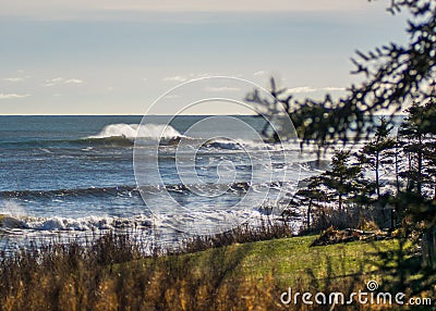 Perfect wave on a sunny day with foreground background bohkeh Stock Photo