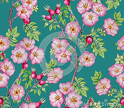 Watercolor wild rose pattern with teal background Stock Photo