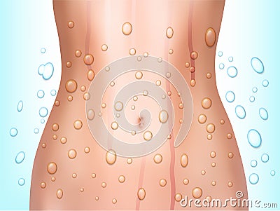 Perfect woman belly with water splash. Vector Illustration