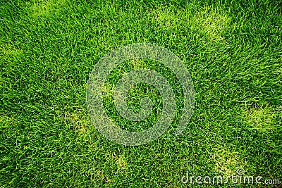 Perfectly mowed fresh garden lawn in summer. Green grass with sunspots. Stock Photo
