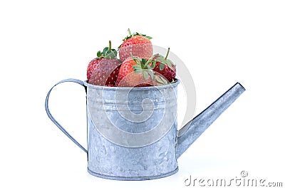 Perfectly retouched fresh strawberry fruit in silver colored watering can on white background Stock Photo