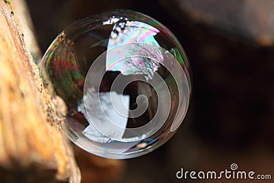 A perfectly round bubble resting on the side of some wood Stock Photo