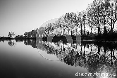 Perfectly symmetric perspective view of trees reflections on a lake Stock Photo