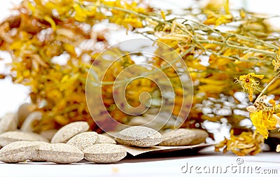 Perforate St Johns-Wort Flowers and Herbal pills Stock Photo