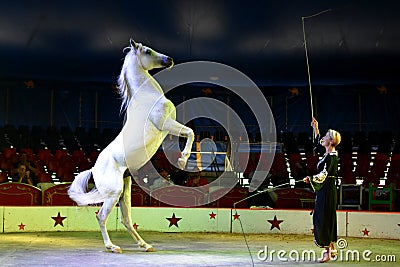 Performing White Horse Editorial Stock Photo