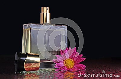 Perfume bottle with a flower Stock Photo