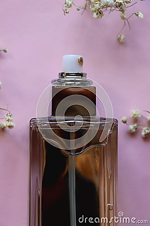 Perfume Bottle and Gypsophila Flowers Stock Photo