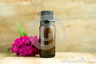 Spa perfume essential aroma oil glass bottle with flower blossoms on old wooden background Stock Photo