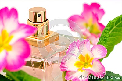 Perfume and flowers Stock Photo
