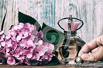 Perfumes and hydrangea on a blue wooden background Stock Photo