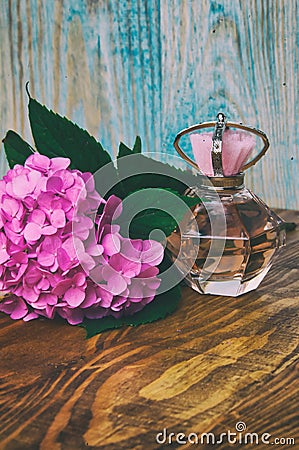 Perfumes and hydrangea on a blue wooden background Stock Photo