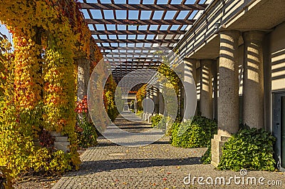 Pergola in Wroclaw, Poland Stock Photo