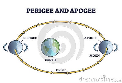 Perigee and apogee moon cycle or explained orbit around earth outline diagram Vector Illustration