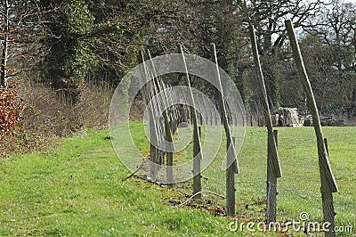 Perimeter fencing 2 Stock Photo