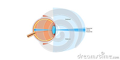 Peripheral vision poster Vector Illustration