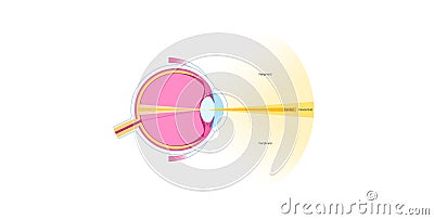 Peripheral vision poster Vector Illustration