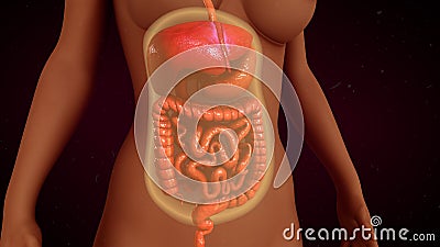 Peritoneal dialysis Stock Photo