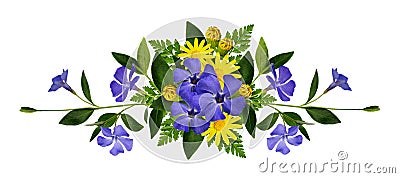 Periwinkle and daisy flowers composition Stock Photo