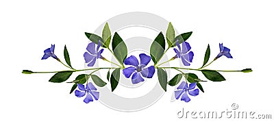 Periwinkle flowers composition Stock Photo