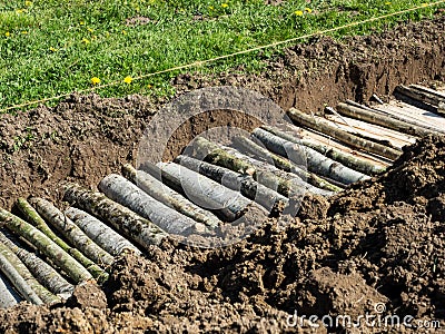 Permaculture trench construction with half long logs of wood with grass Stock Photo