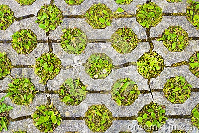 Permeable pavement with grass. Eco friendly parking Stock Photo