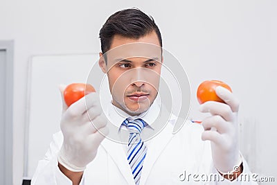 Perplex scientist holding two tomatoes Stock Photo