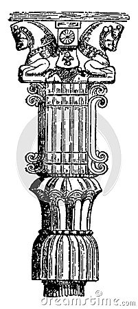 Persian Capital, fluted, vintage engraving Vector Illustration