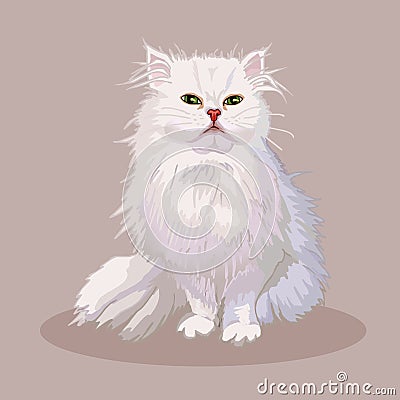 Persian cat. Cat breed. Favorite pet. Lovely fluffy kitten with green eyes. Realistic vector Vector Illustration