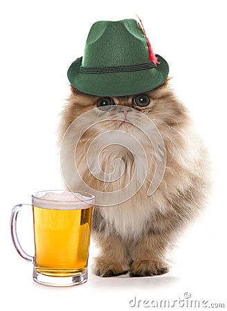 Persian cat wearing bavarian beer festival hat Stock Photo