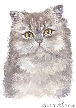 Water colour painting of Persian Longhair cat 005 Stock Photo