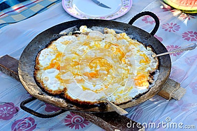 Persian Nimroo Eggs Sunny Side Up Stock Photo