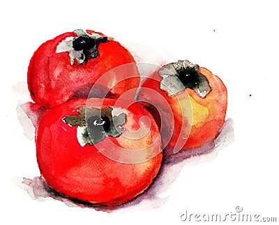 Persimmon Cartoon Illustration