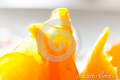 Persimmon macro - high detail Stock Photo