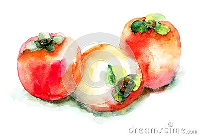 Persimmon Cartoon Illustration