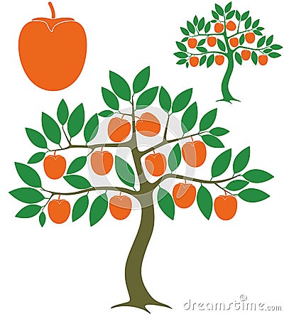 Persimmon tree Vector Illustration