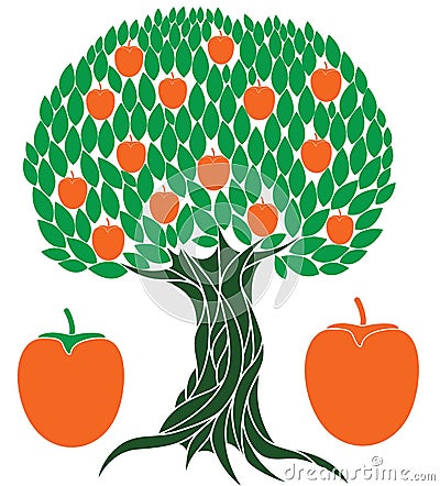 Persimmon tree Vector Illustration