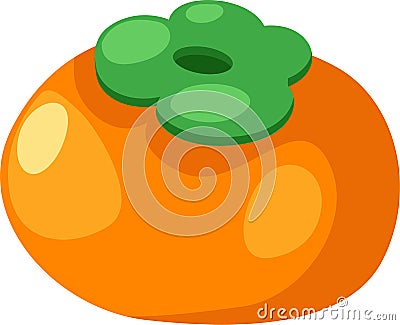 Persimmon vector Vector Illustration