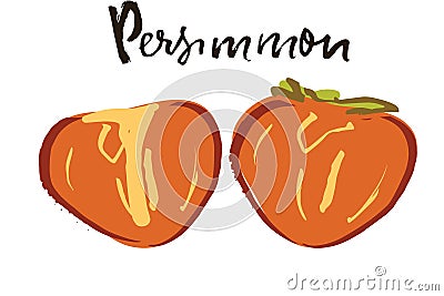 Persimon hand drawn vector illustration Vector Illustration