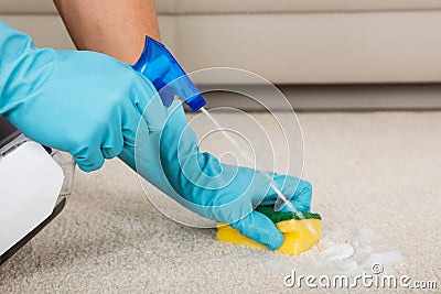 Person Cleaning Carpet With Detergent Spray Bottle Stock Photo