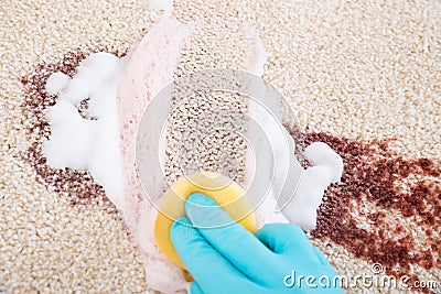 Person cleaning carpet with sponge Stock Photo