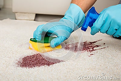 Person Cleaning Stain On Carpet Stock Photo