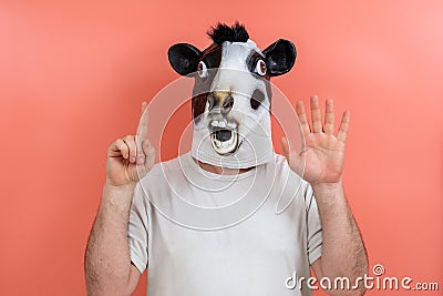 Person disguised as a cow counting the number six on his fingers Stock Photo